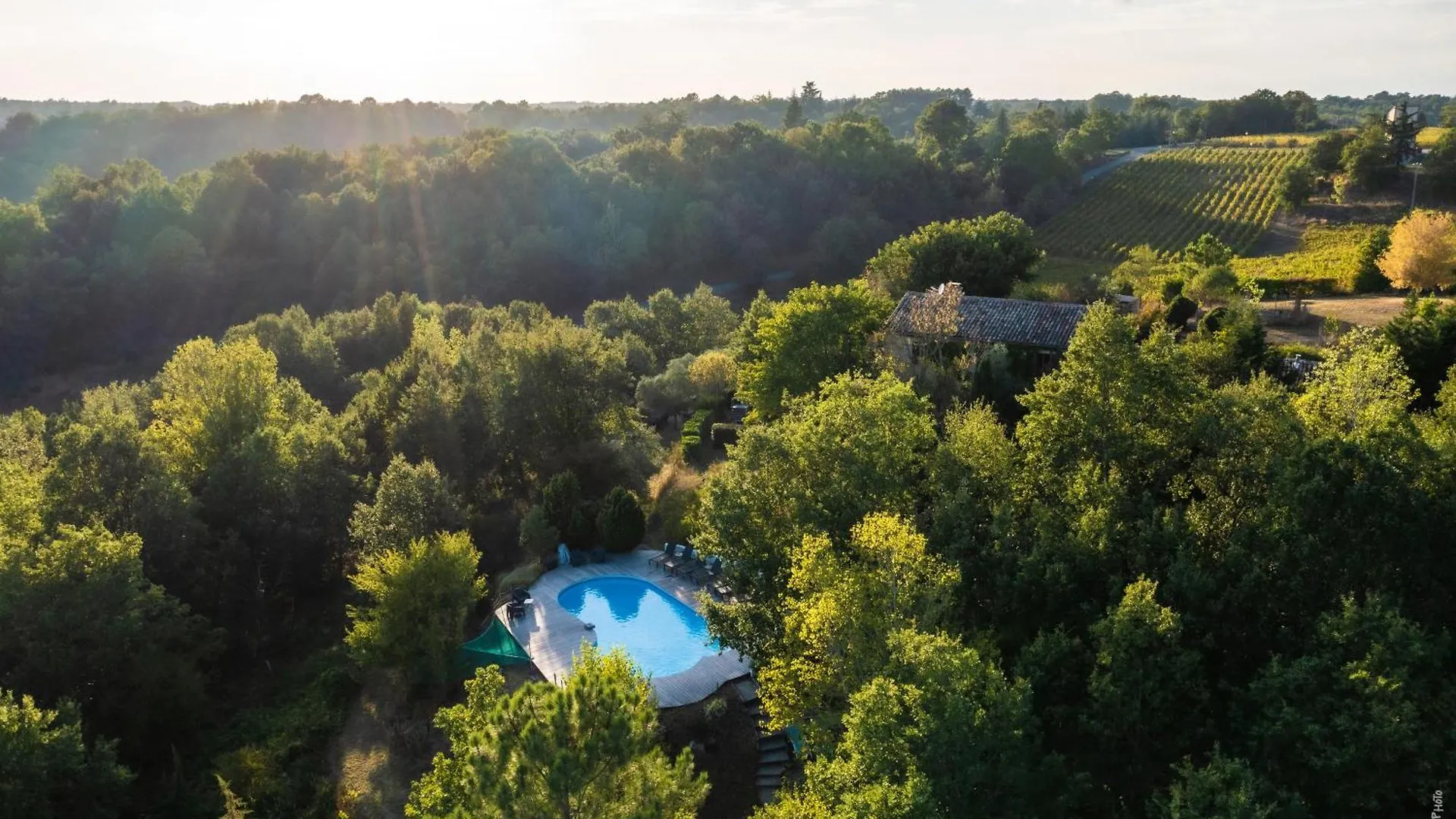 Casa vacanze Domaine Les Hauts De Jeanvert - Piscine - Gaillac