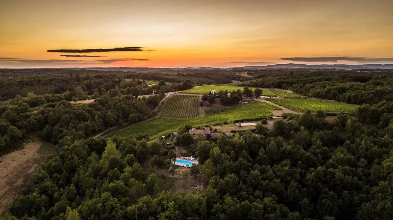 Casa vacanze Domaine Les Hauts De Jeanvert - Piscine - Gaillac